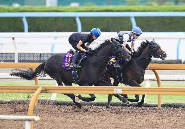 【宝塚記念・2週前】春古馬3冠へ　クロワデュノールが上々の動き　斉藤崇調教師「また競馬のスイッチが入ってきた」