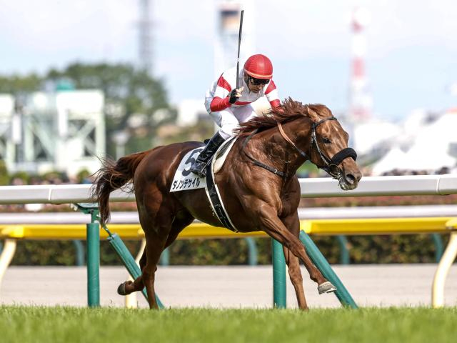 【日本ダービー過去10年傾向】1番人気の信頼度は？ 中穴馬も存在感示す一戦