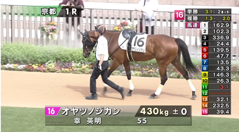【日曜京都1R】オヤツノジカン＆幸騎手がｷﾀ━━━━(ﾟ∀ﾟ)━━━━!!