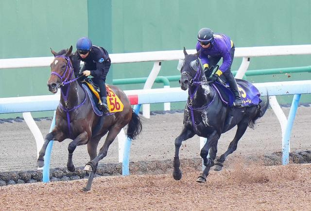 【安田記念1週前追い】トロヴァトーレ余力十分ラスト1F11秒2　鹿戸師「順調」
