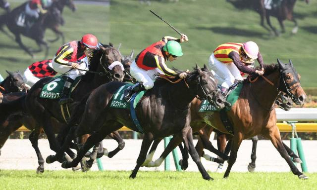 24年桜花賞馬ステレンボッシュはレーンとの新コンビで安田記念参戦　前走エプソムC2着で復活の兆し