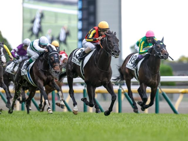 【日本ダービー過去10年傾向】先行抜け出しがセオリー 後方一気のシーンは少ない