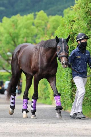 【ダービー】(18)エムズビギン　大外枠も前向き