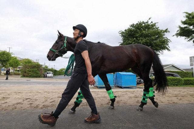 【ダービー】(17)ロブチェン　2冠に向け順調　杉山晴師「どの枠でも大丈夫」