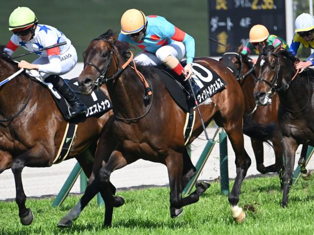 【目黒記念予想】長距離戦は大型馬には不向きな条件!? 様々な面で経験不足を感じる軽視すべき一頭