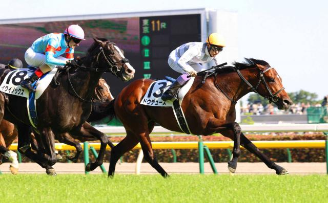 【初めてのダービー5】2022年レジェンドの勝利への熱意...ドウデュース世代の水納愛美記者〜スポーツ紙・夕刊紙8紙特別企画〜