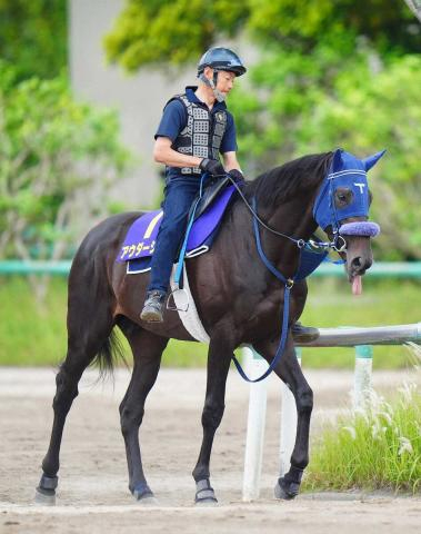 【ダービー】(9)アウダーシア　調整に余念なし　手塚久師「雰囲気はとても良い」