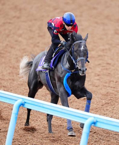 【ダービー】(11)リアライズシリウス　逆転戴冠へ万全　手塚久師「楽しみ」