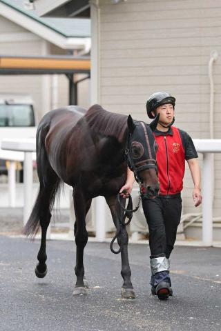 【ダービー】(12)アスクエジンバラ　人馬の絆に期待「岩田さんのゴーサインを信じたい」