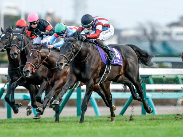 【今日の注目ポイント】競馬の祭典・日本ダービーと目黒記念