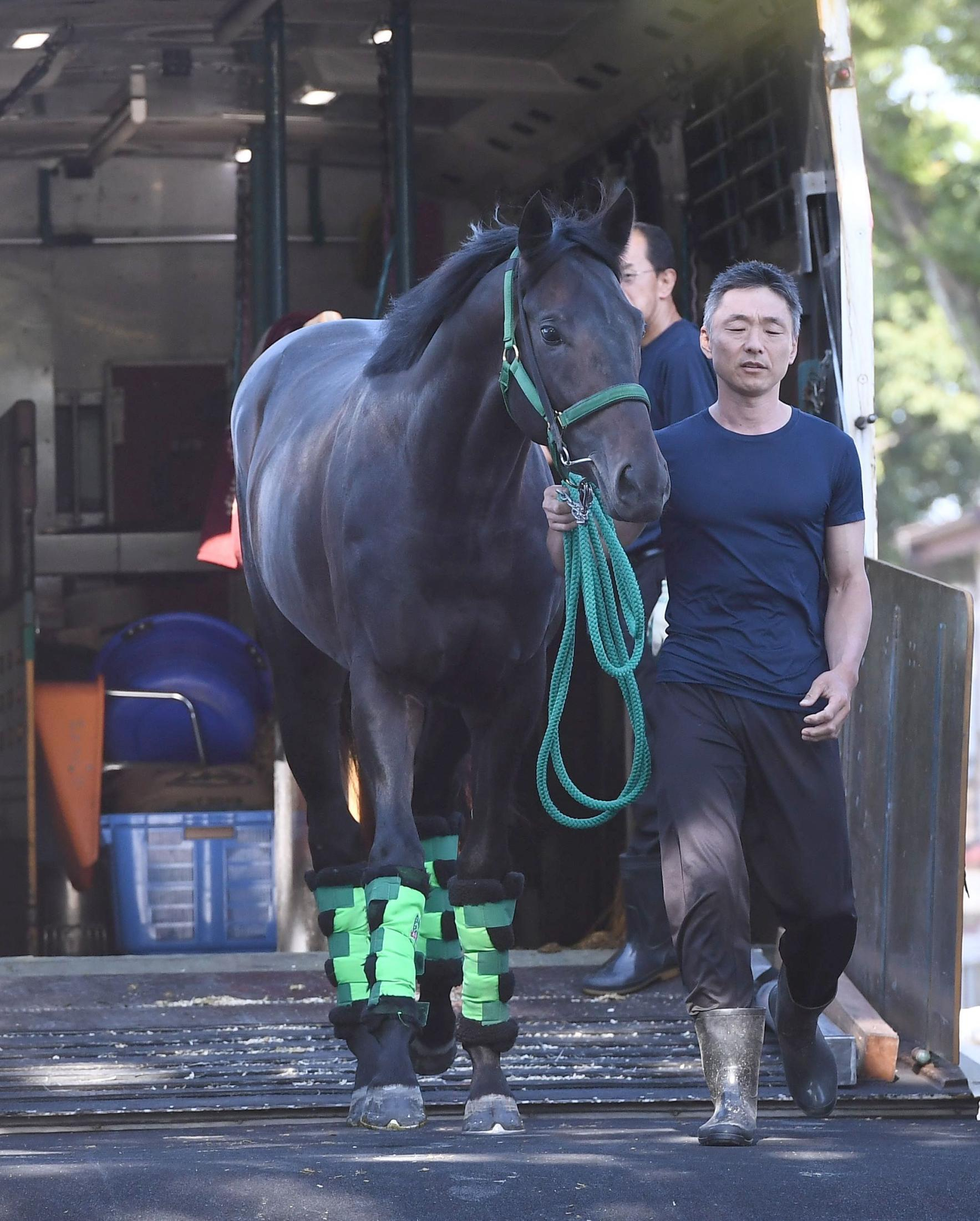 【日本ダービー】ロブチェン　２冠へいざ出陣　房野助手は好仕上がりアピール「今までで一番」　松山へ託す「ダービーを楽しんで」