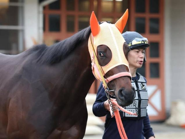 【日本ダービー・特選有力馬チェック】コンジェスタスは買うべき?