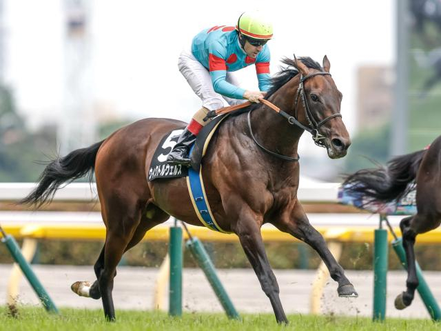 【目黒記念予想】ダービーの余韻残る長距離ハンデ戦 持久力勝負の2500m舞台