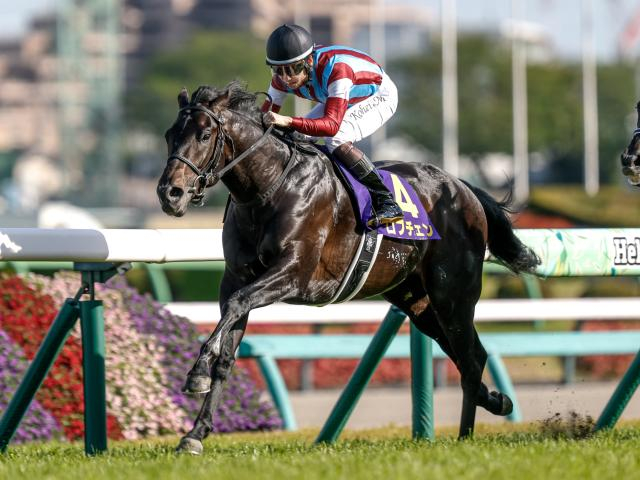 【日本ダービー予想】今年も中心は前走皐月賞組？ 過去データから探るGI日本ダービー
