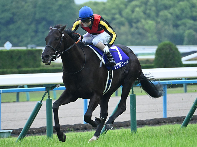 【宝塚記念】クロワデュノール、メイショウタバルなどが登録