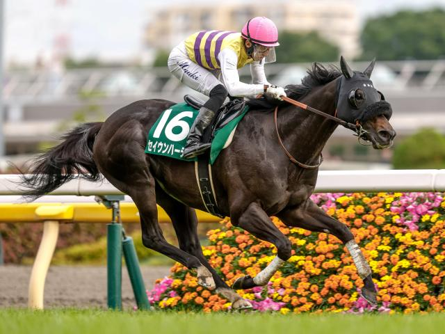 【AI予想・安田記念】春の最強マイラー決定戦は混戦ムード！ 人気薄の大駆けも警戒する人工知能の本命候補