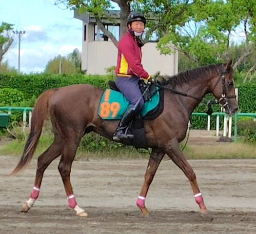 【注目新馬・坂本が見た】エフフォーリア産駒“速攻系”な一面も　2400万円で落札ベルウッドディープも楽しみ