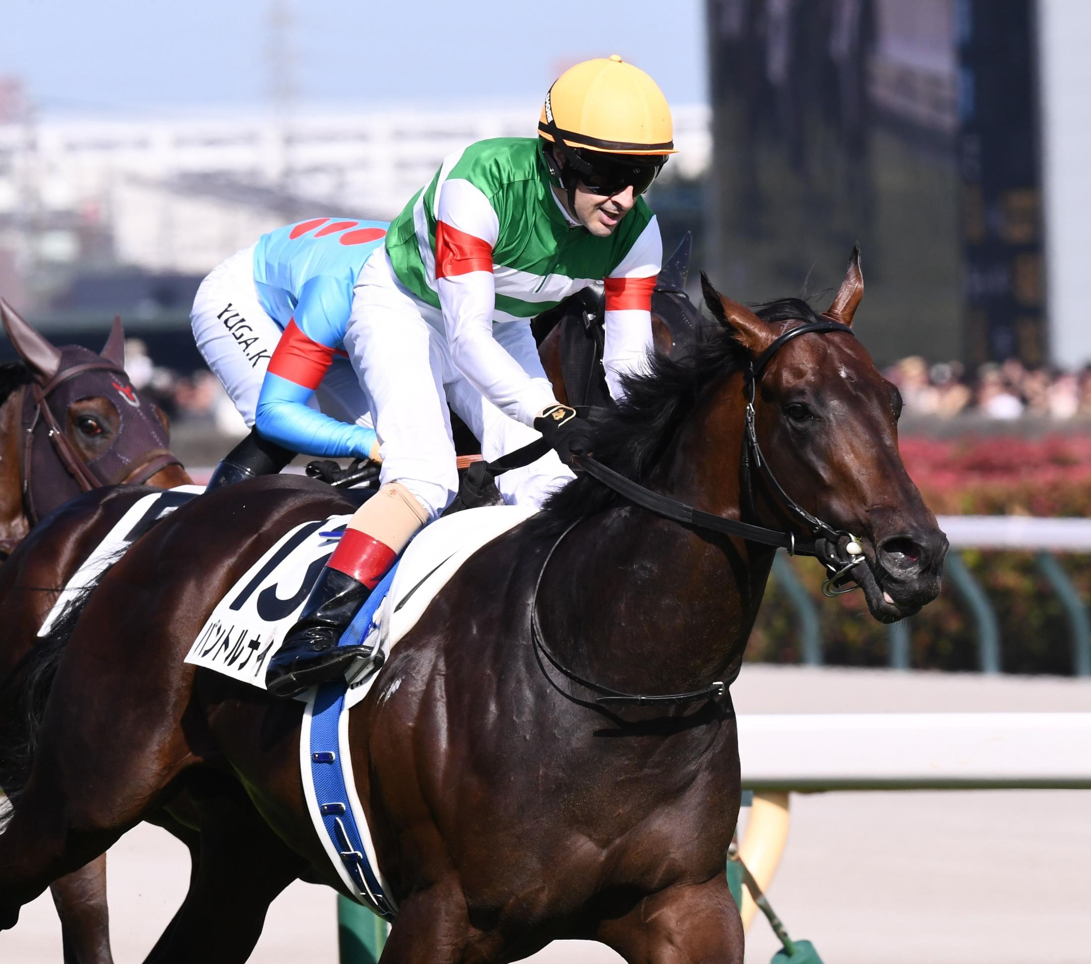ダービー２着のパントルナイーフが膝を骨折　レース後に歩様の乱れ