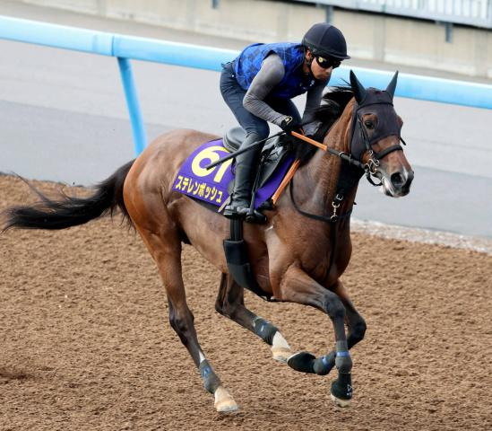 【安田記念】復活目指す桜花賞馬ステレンボッシュは1週前に好調教　宮田調教師「本当に素晴らしい動き」