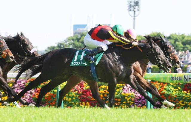 【安田記念・超ブル診断ステップレース編】切れ味&勝負強さに磨きがかかってきた重賞連勝馬が「G」評価
