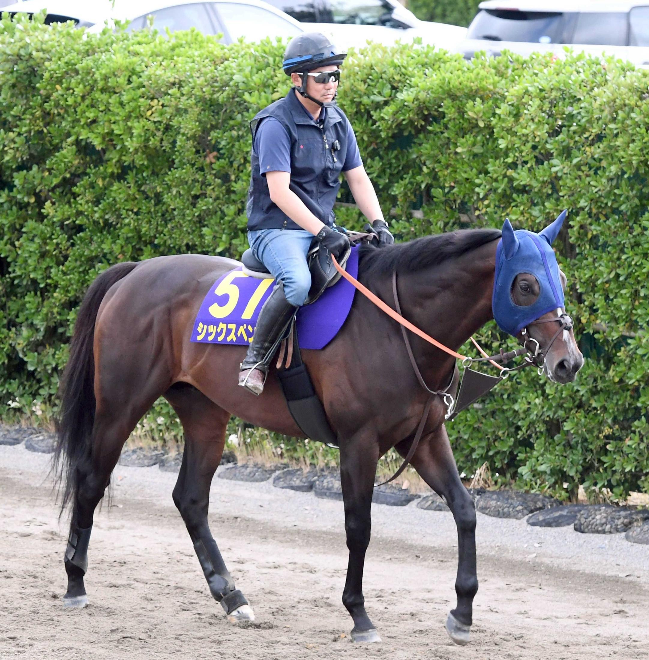 【安田記念】シックスペンス　悲願のＧ１初制覇へ　データ唯一の全項目クリアで復活の一撃に期待高まる