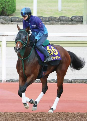 【安田記念】ファンに愛される「おぱんち」が再び頂点へ　25年NHKマイルC覇者パンジャタワーに不安なし