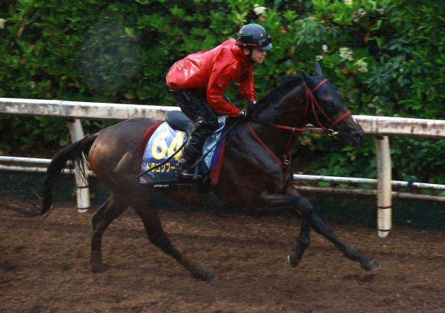 【安田記念】ドラゴンブースト　不良馬場でも苦にせず　藤野師「力を出せる体になってきた」