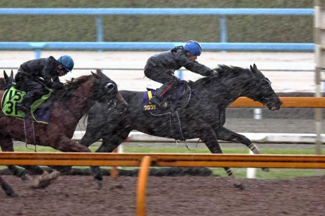 【宝塚記念1週前追い】クロワデュノール　豪快先着　史上初古馬G1春3冠へ　斉藤崇師「しっかりやった」