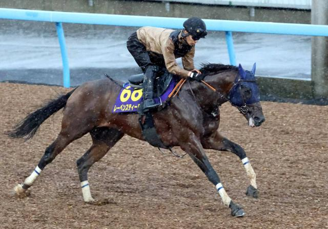 【安田記念】レーベンスティール　6歳となり気性面で成熟　田中博調教師「スムーズな調教ができてきました」G1初Vチャンス