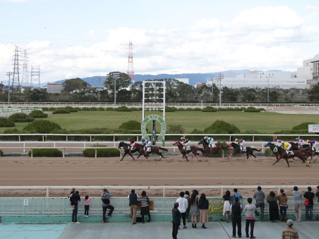 【園田・六甲盃結果】ダンテバローズが3連勝で重賞初制覇