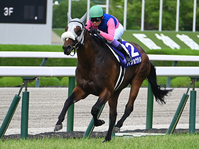 【有力馬動向】宝塚記念連覇へ態勢着々メイショウタバル 石橋師「折り合いもスムーズだったね」/馬三郎のつぶやき