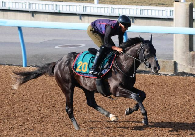 【POG】ダービー2着馬と同厩舎&同馬主のフィリオソラーレがルメール騎手で開幕初日デビュー　陣営「走ることに真面目」