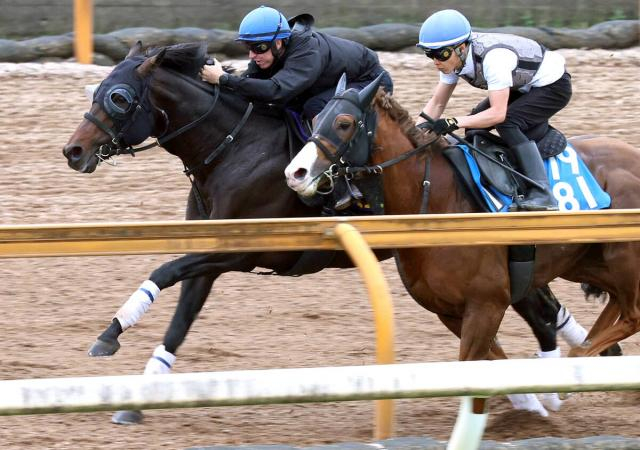 【宝塚記念・1週前】ミュージアムマイルはレーン騎手騎乗でびっしり「反応は良かった。馬体は力強くなっている印象」