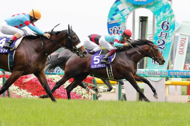 【POG】伯父にG1・2勝インディチャンプ　7日阪神初陣の良血レゾルーティオは坂口調教師「勝負になると思う」
