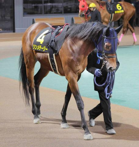 【園田・六甲盃】単勝1・5倍がまさかの4着　吉原寛人騎手のシンメデージーは追い上げ及ばず　はがくれ大賞典で復活Vも…