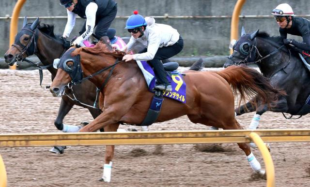 【宝塚記念・1週前】ダノンデサイルは3頭併せで豪快に最先着　戸崎圭太騎手「また乗せていただけてうれしい」