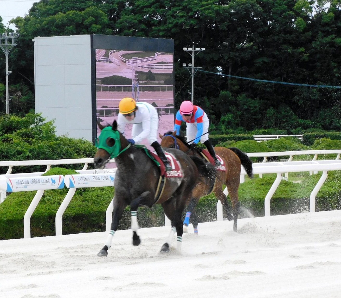 【地方競馬】地元のダンテバローズが六甲盃を制し重賞初Ｖ