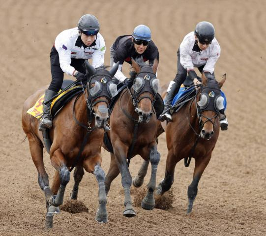 【宝塚記念・1週前】ミクニインスパイア充実一途　丹内祐次騎手「前走の時よりも感じはいい」