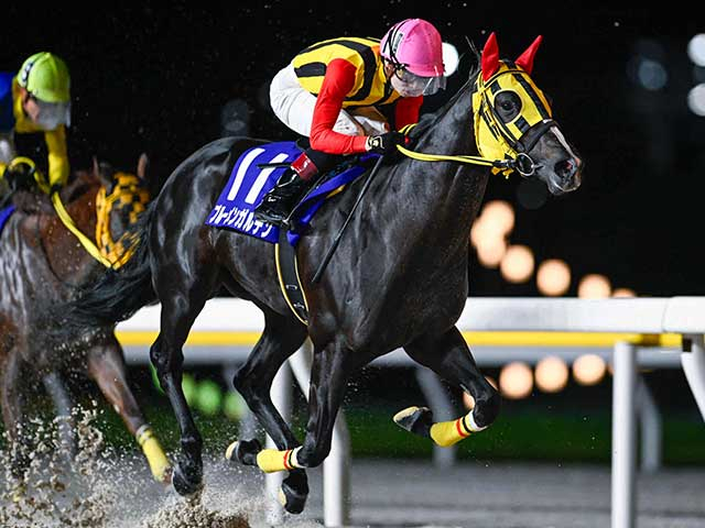 【船橋・若潮スプリント結果】ブルーメンガルテンが差し切って重賞初制覇を飾る