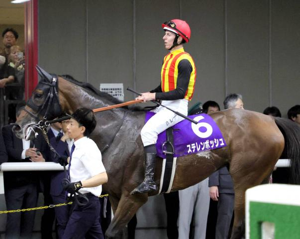 【安田記念】24年桜花賞馬の復活は遠く…レーン騎手「全体的に忙しいレースに」ステレンボッシュは10着　