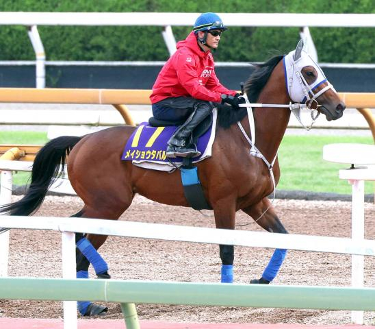 【G1・1週前まとめ】メイショウタバルが武豊と連覇狙う　軽快な動きに石橋調教師「これで変わると思う」　宝塚記念