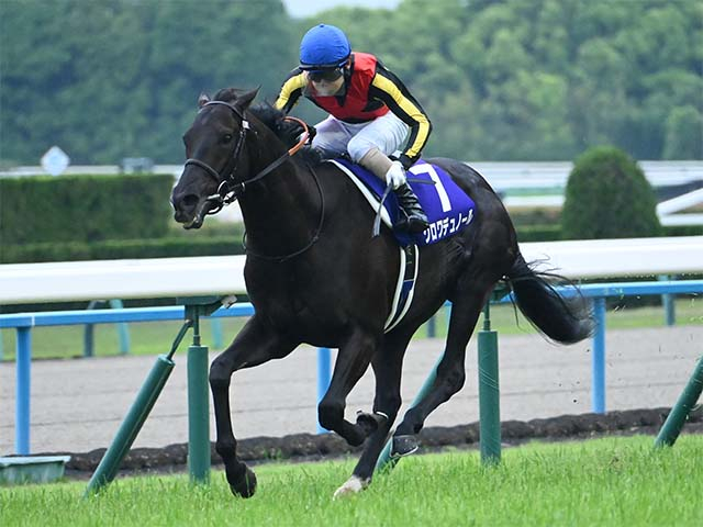 【宝塚記念想定騎手】クロワデュノールは北村友一騎手、メイショウタバルは武豊騎手
