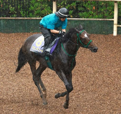 【宝塚記念】タガノデュード　放牧効果で良化　陣営「この相手にも割って入れるだけの力はあるはず」