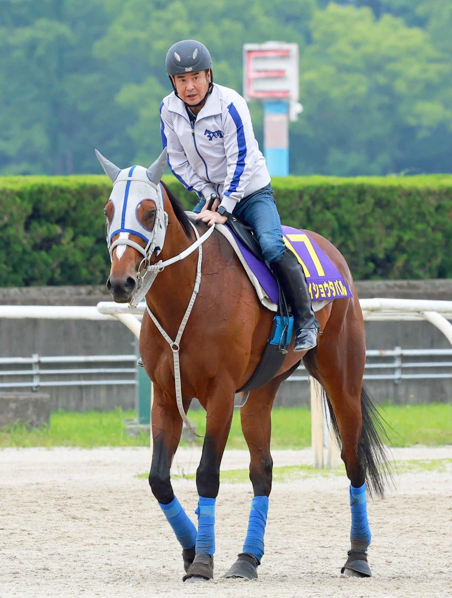 【宝塚記念】メイショウタバル　連覇あるぞ　今週も名手・武豊がＶ導く　全項目クリアのデータも後押し