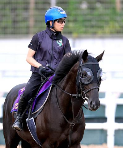 【宝塚記念】クロワデュノール、史上初の古馬G1春3冠へ　父キタサンブラック超え偉業だ　