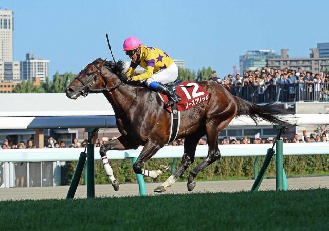 ノースブリッジが引退　奥村武厩舎が発表　函館記念に向け調整も「肺出血が再発」