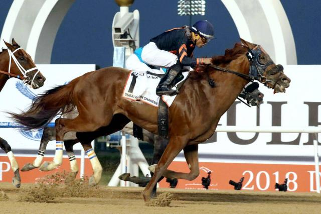 種牡馬のマインドユアビスケッツが13歳で死す　産駒のデルマソトガケがBCクラシック2着　先週はビスケットサンドが新馬勝ち