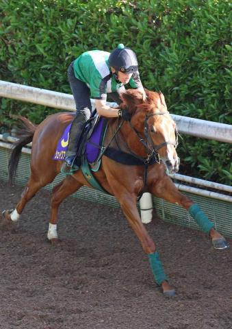 【宝塚記念】シェイクユアハート　坂路単走で軽快駆け　4F52秒7に宮師「状態はいい」