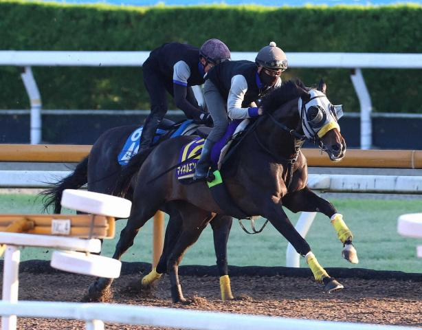【宝塚記念】マイネルエンペラー　馬なりで突き抜けた　清水久師「動きは良かった」