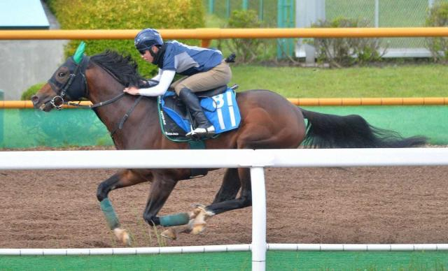 【函館スプリントS】レイピア　闘魂注入ラスト1F12秒8　初コンビの横山武手応え「癖なく乗りやすい」